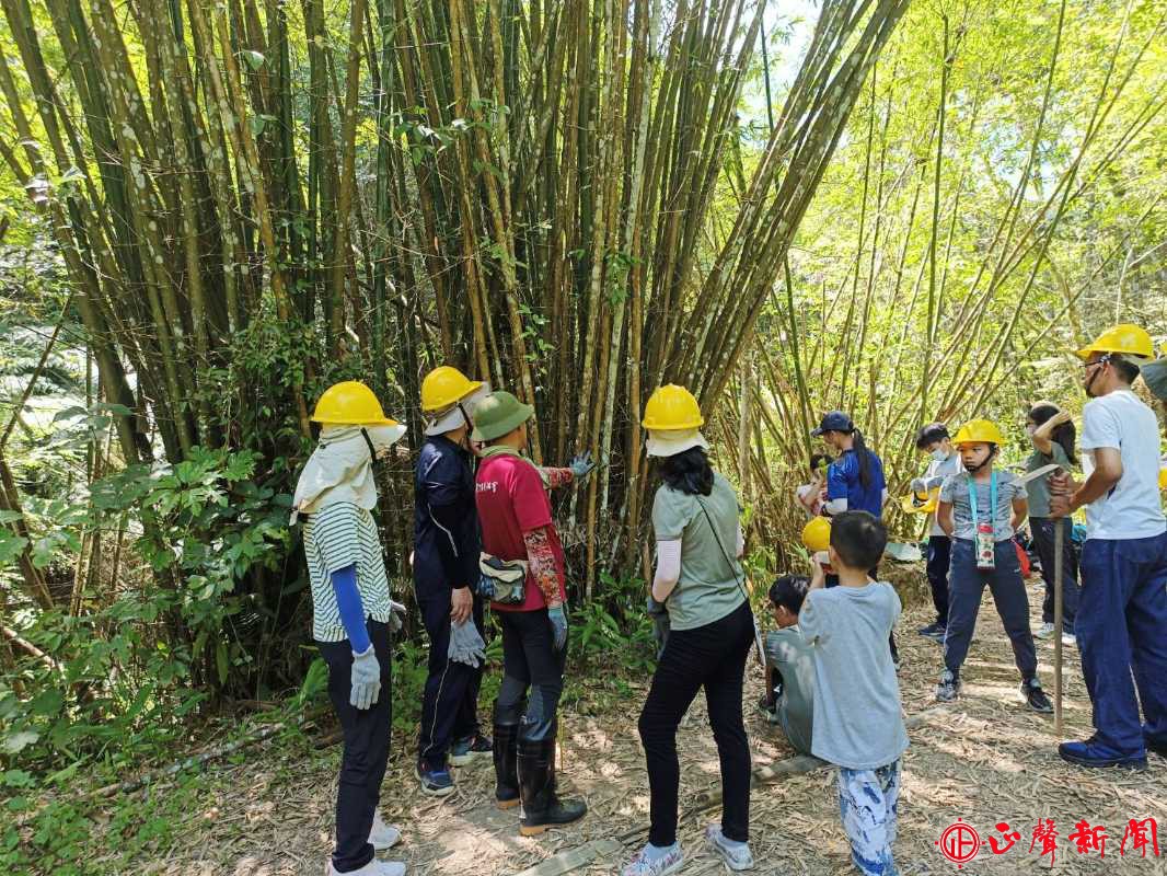  澀水森林步道「手作步道工作假期」，60多名愛好生態的志工參與，很有成就感。(記者梁雅玲攝)-正聲新聞