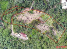 空拍機紀錄造林地變化，展現科技力