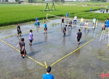 深耕在地  服務學習  大葉大學師生協助水田排球賽