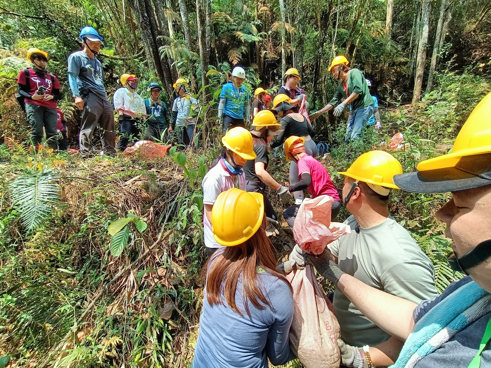 自然碳匯與生物多樣性保育專案合作辦理澀水手作步道生態