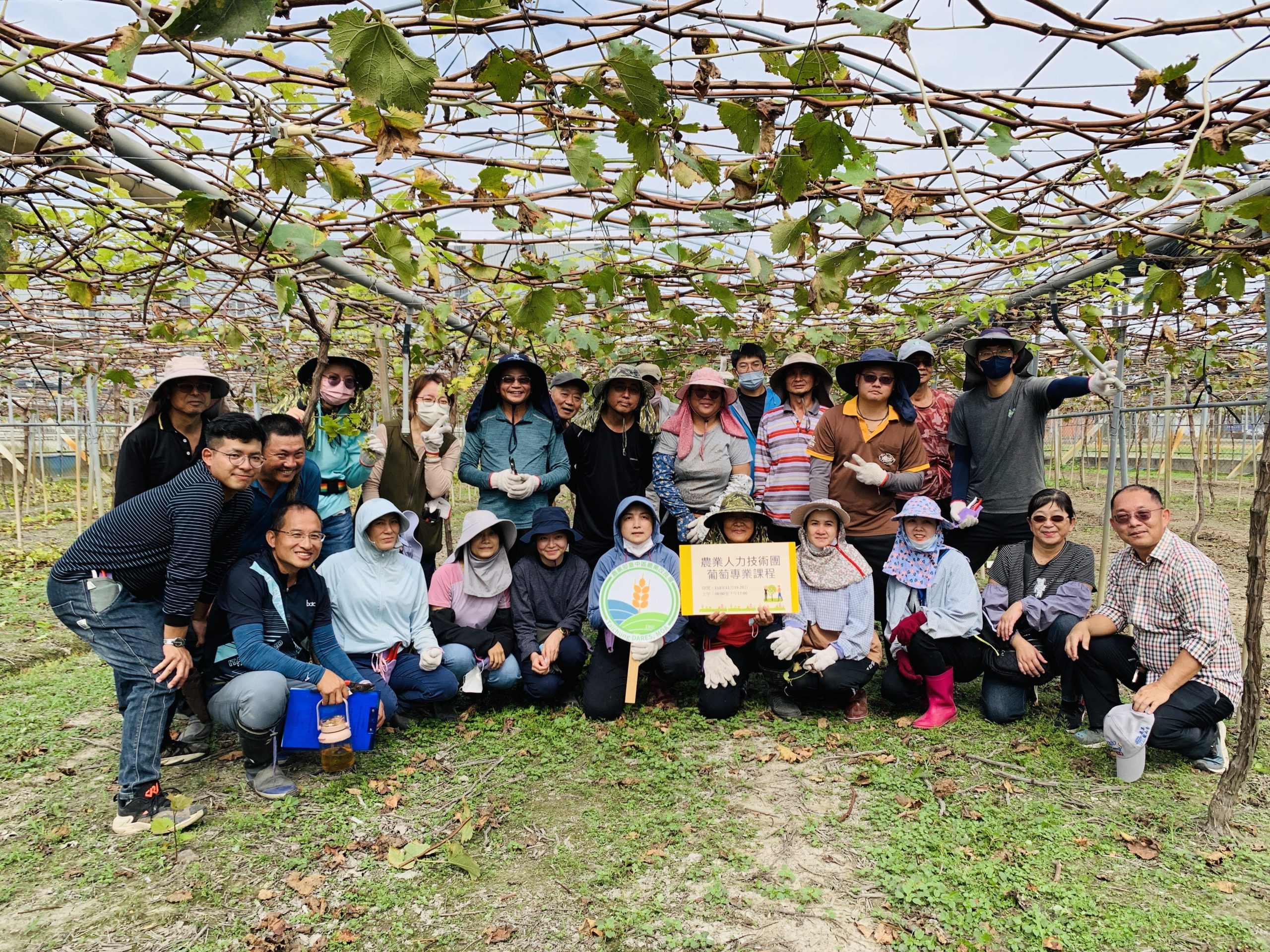 農業人力團葡萄專業訓練課程增實力 舒緩葡萄產業缺工需求好給力
