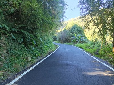 中市水利局修繕農路 促進新社地區咖啡豆產業發展